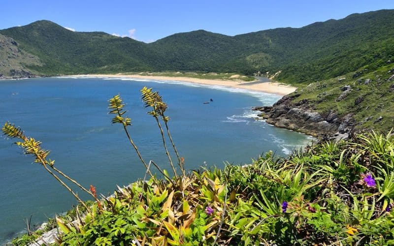 8 praias catarinenses para conhecer em 2022