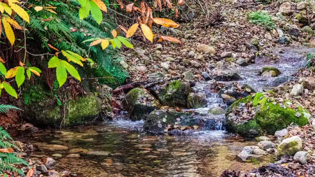 Nascente de água com ferrugem