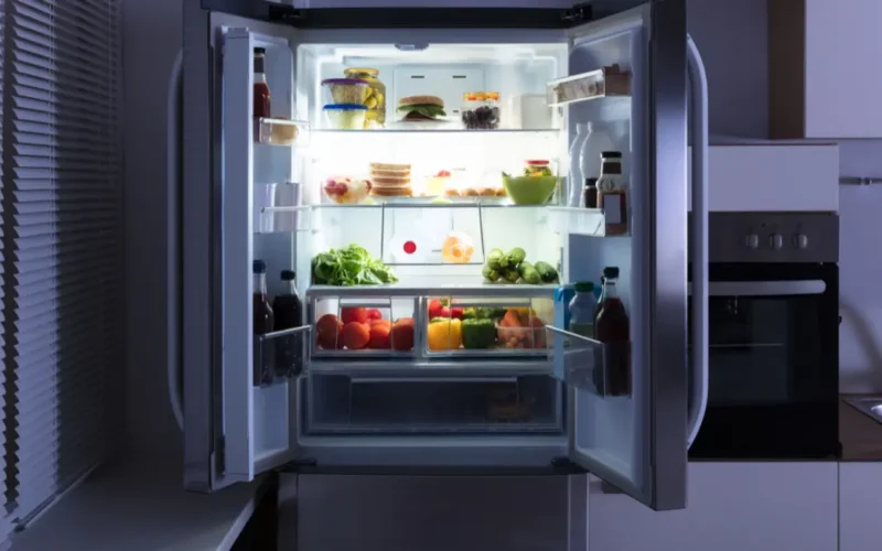 Qual a diferença entre geladeira e refrigerador