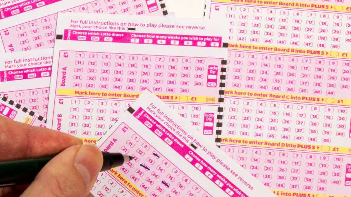 Lotofácil: como é distribuído o valor arrecadado com a loteria