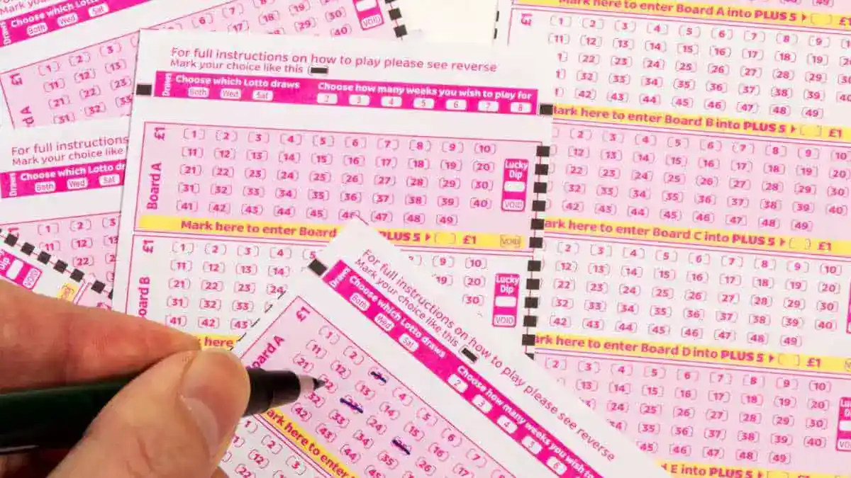 Lotofácil: como é distribuído o valor arrecadado com a loteria?