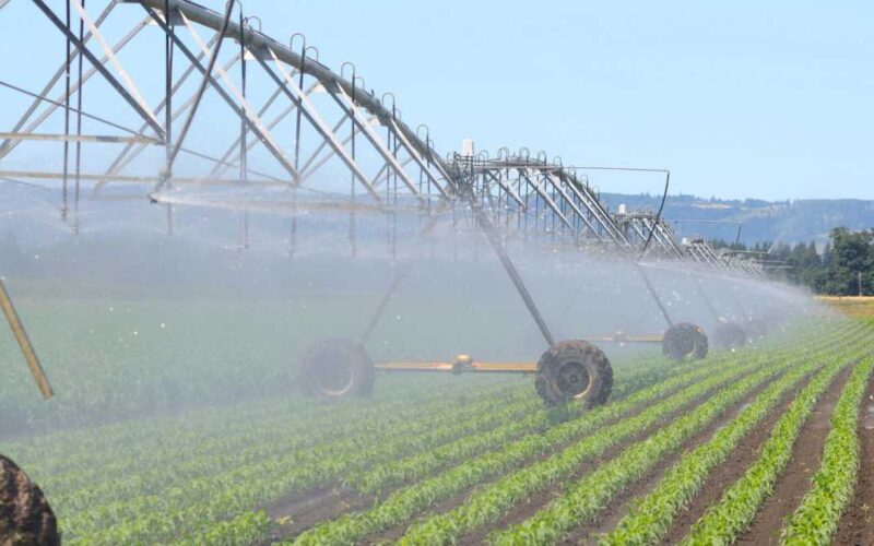 Quais os Melhores Tipos de Irrigação para Utilizar nas Plantações