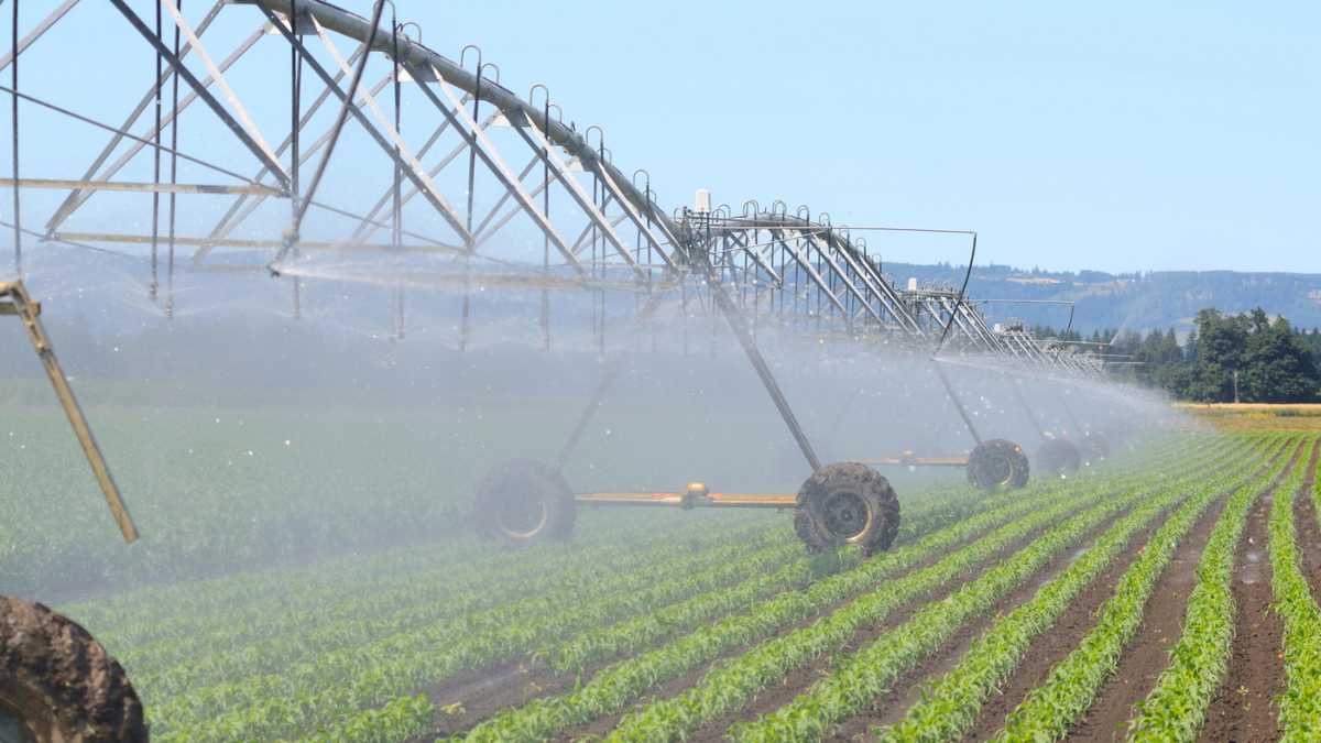 Quais os Melhores Tipos de Irrigação para Utilizar nas Plantações