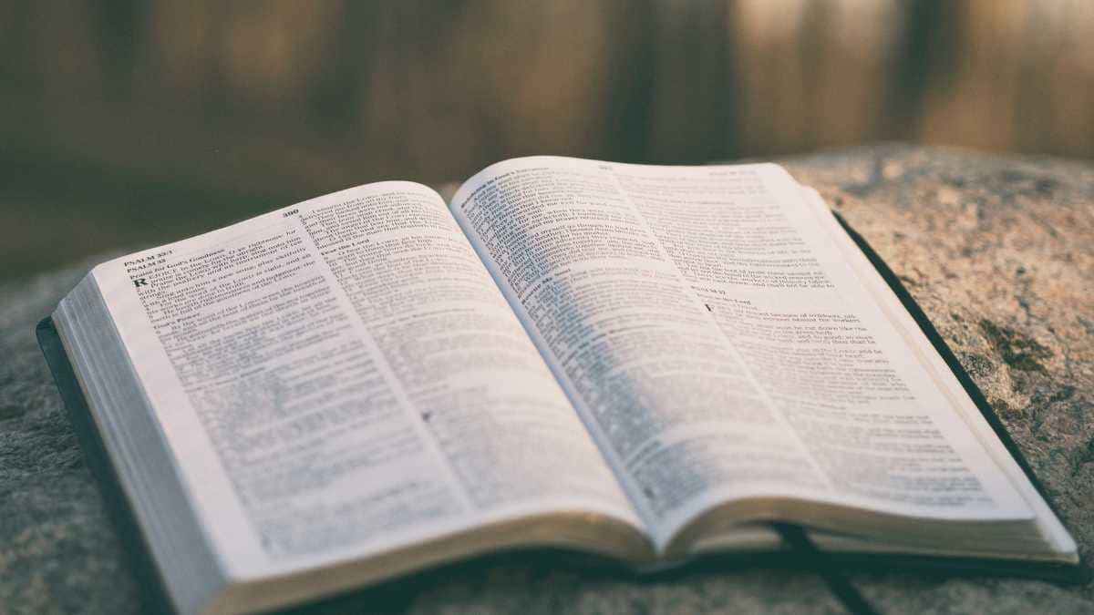 Eu Sou o Caminho, a Verdade e a Vida: Refletindo sobre João 14:6