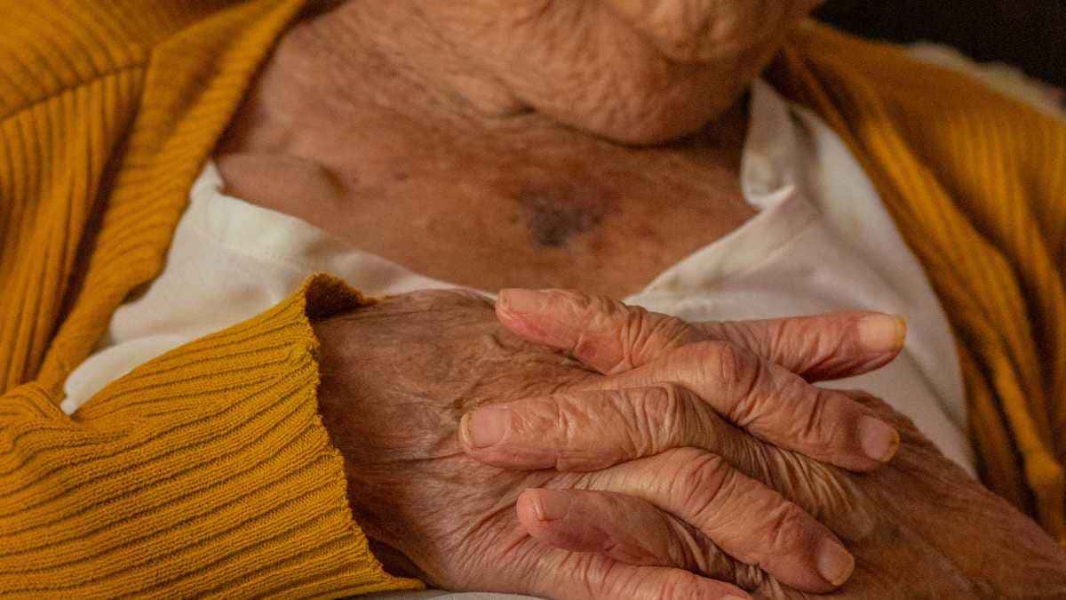 Presentear os Idosos Brasileiros: 4 Benefícios Essenciais que Chegam Como um grande presente