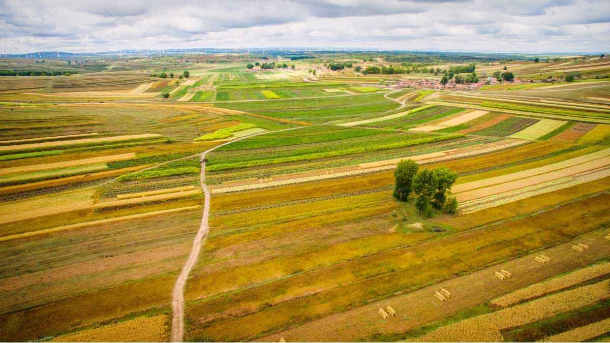 Fazendinha à Venda MG: Encontre o Refúgio Perfeito no Coração de Minas Gerais