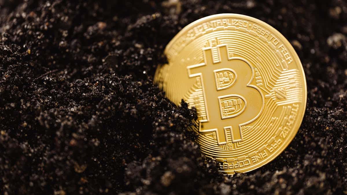 Principais aplicativos e carteiras para usar Bitcoin