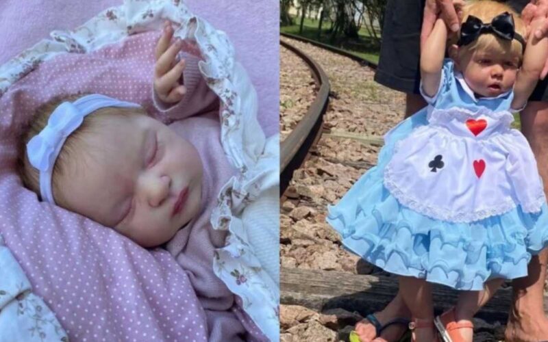 Casal trava batalha por ‘guarda’ de bebê reborn: 'Apego emocional