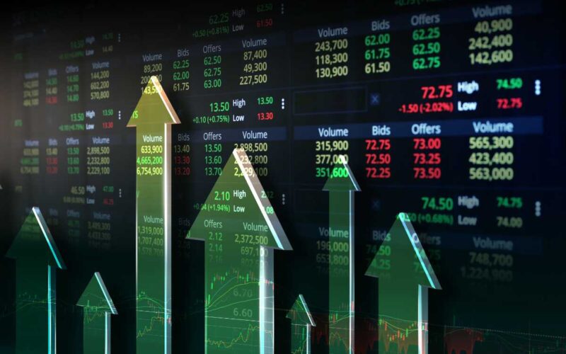 Simular carteira de investimento: guia para iniciantes