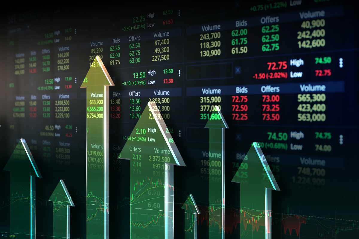 Simular carteira de investimento: guia para iniciantes