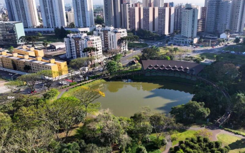 Organização e Eficiência em Serviços Urbanos: O Caso de Curitiba