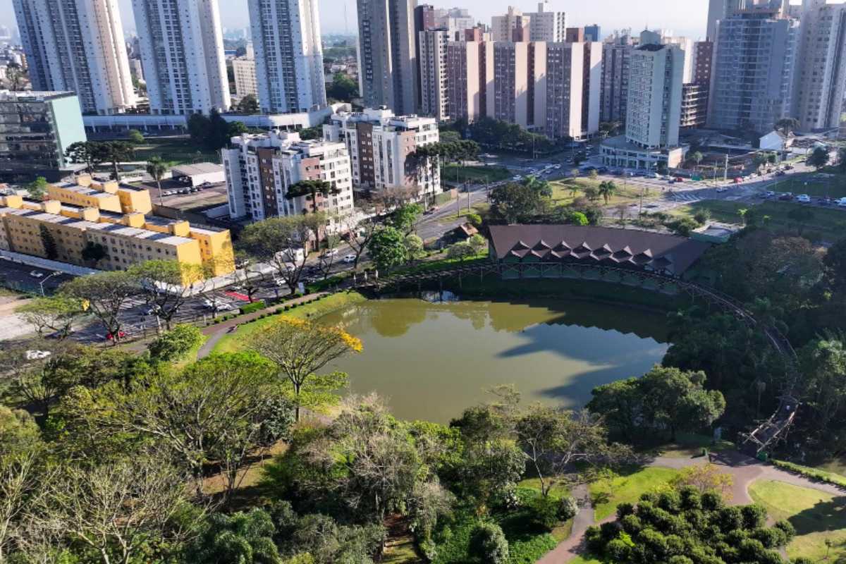Organização e Eficiência em Serviços Urbanos: O Caso de Curitiba
